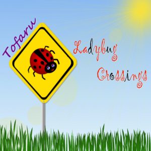 ladybugcrossings cd cover