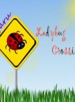 Ladybug Crossings